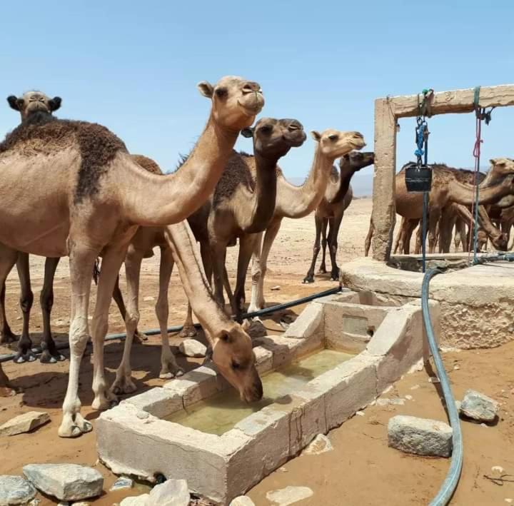 Bivouac Zagora Hotel Exterior photo